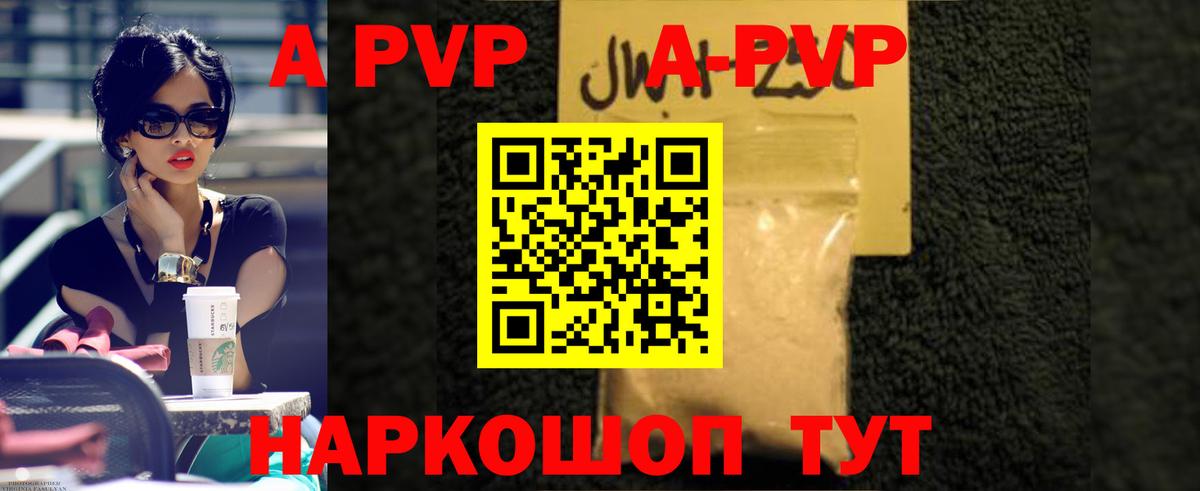 Альфа ПВП СК КРИС Киселёвск